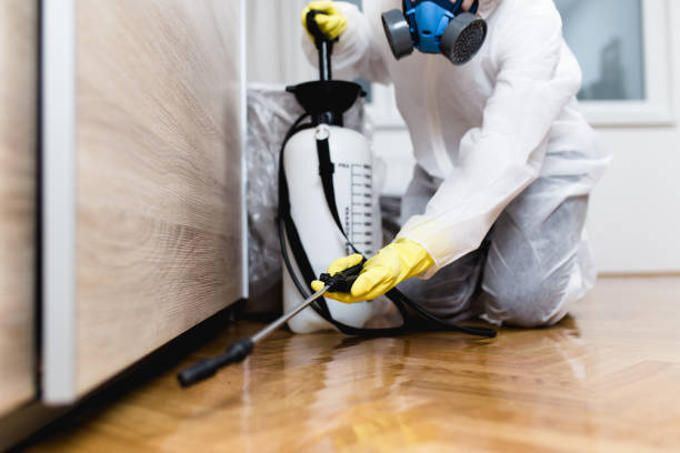 Best Affordable Pest Control Services  in Plains, KS