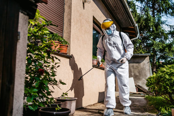 Best Affordable Pest Control Services  in Plains, KS
