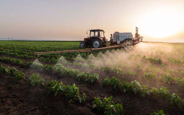 Best Wildlife Control Services  in Plains, KS