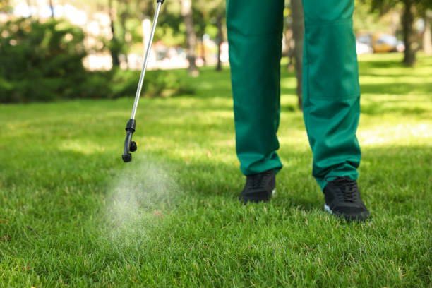 Best Emergency Pest Control  in Plains, KS