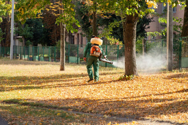 Best Termite Control Services  in Plains, KS